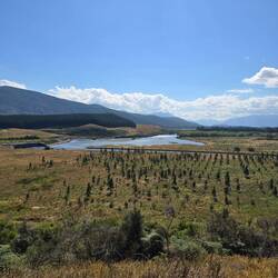 Auf dem Weg nach Te Anau