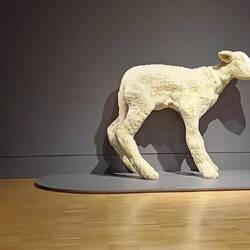 Very large lamb, Included boy for scale.