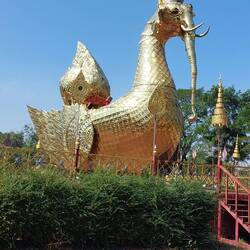 Transporttier in den Himmel