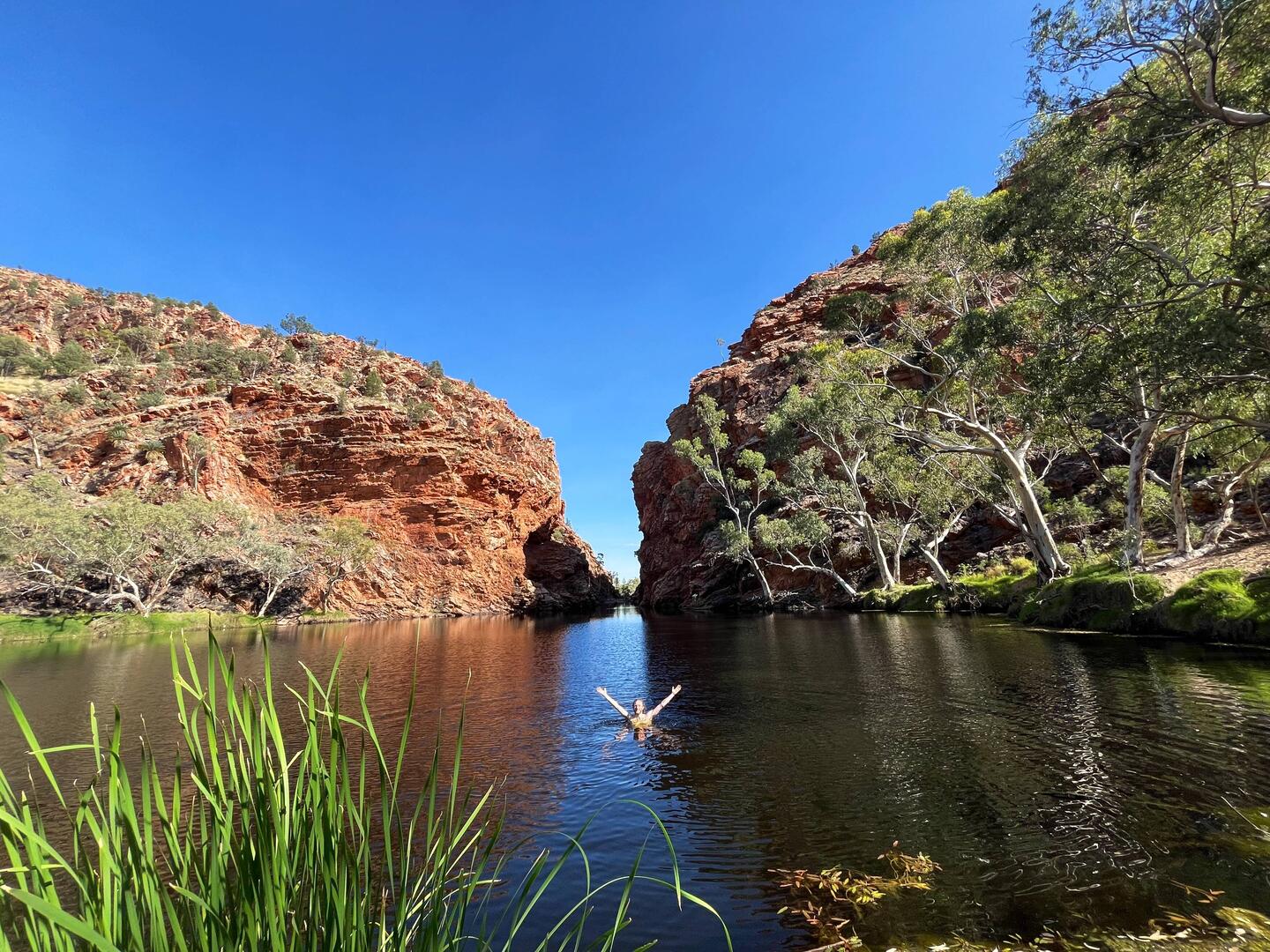 Ellery Creek