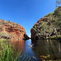 Ellery Creek