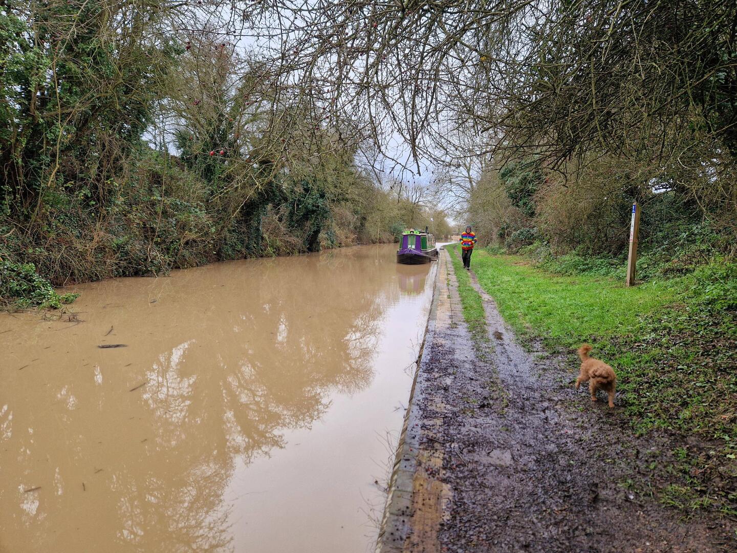 The water was exceptionally muddy with the recent rains and the towpath wasn't great either.