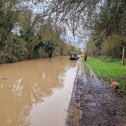 The water was exceptionally muddy with the recent rains and the towpath wasn't great either.