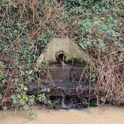 Surface water draining into the cut