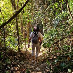 Durch den Dschungel zurück zum Treffpunkt.