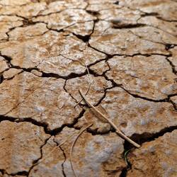 Die Trockenheit hinterlässt ihre Spuren.