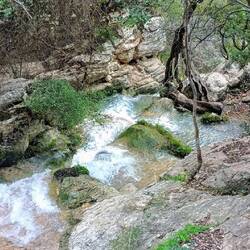 Auf den Weg zu den unteren Fällen