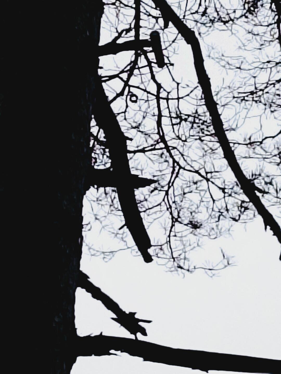 Cache im Baum