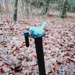 Letzter Vogelcache