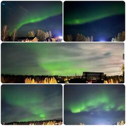 Letzte Polarlichter am Storforsen