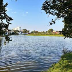 kleiner See mitten in der Stadt