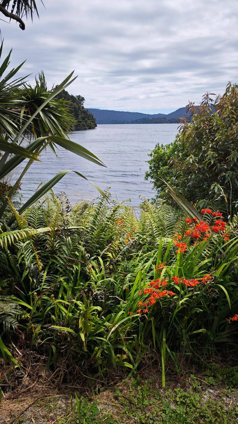 Lake Mapourika