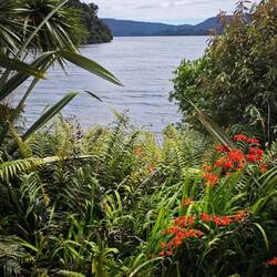 Lake Mapourika