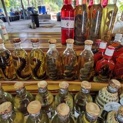 Schnäpse mit Fleischeinlage bestimmter Tierarten