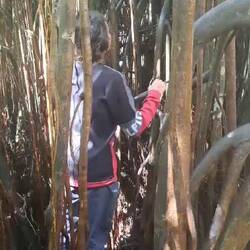 ... Da kann man sogar (mit Gummistiefel) drauf klettern!