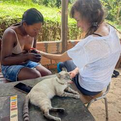 ... Mona lässt lieber den Profi ran (keine Angst, kein neues Tattoo, ist in 15 Tagen wieder weg 😄)