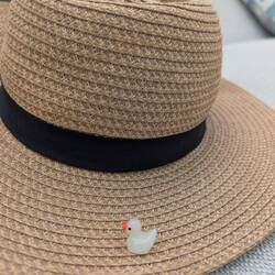 Back onboard I finally found one of these silly ducks