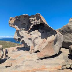 The Remarkable Rocks