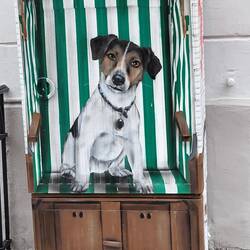 Schöner Verteilerkasten