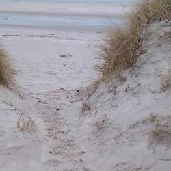 Es geht an den Strand von Skallingen