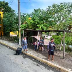 Bus-Haltestelle (lokal) mit Übergang, gelb