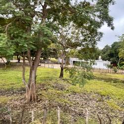 neues Haus am Strassenrand