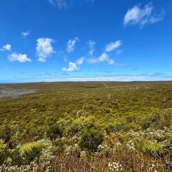 Flinders Chase National Park🏞️🌿