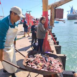 Alle werden versorgt