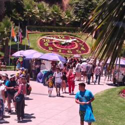 Blumenuhr vom Bus fotografiert in