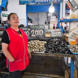 Hier gibt es alles frisch was das Meer bietet