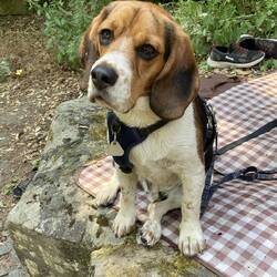 Mo hat auch das Wasser probiert