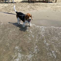 Mo entdeckt das Meer