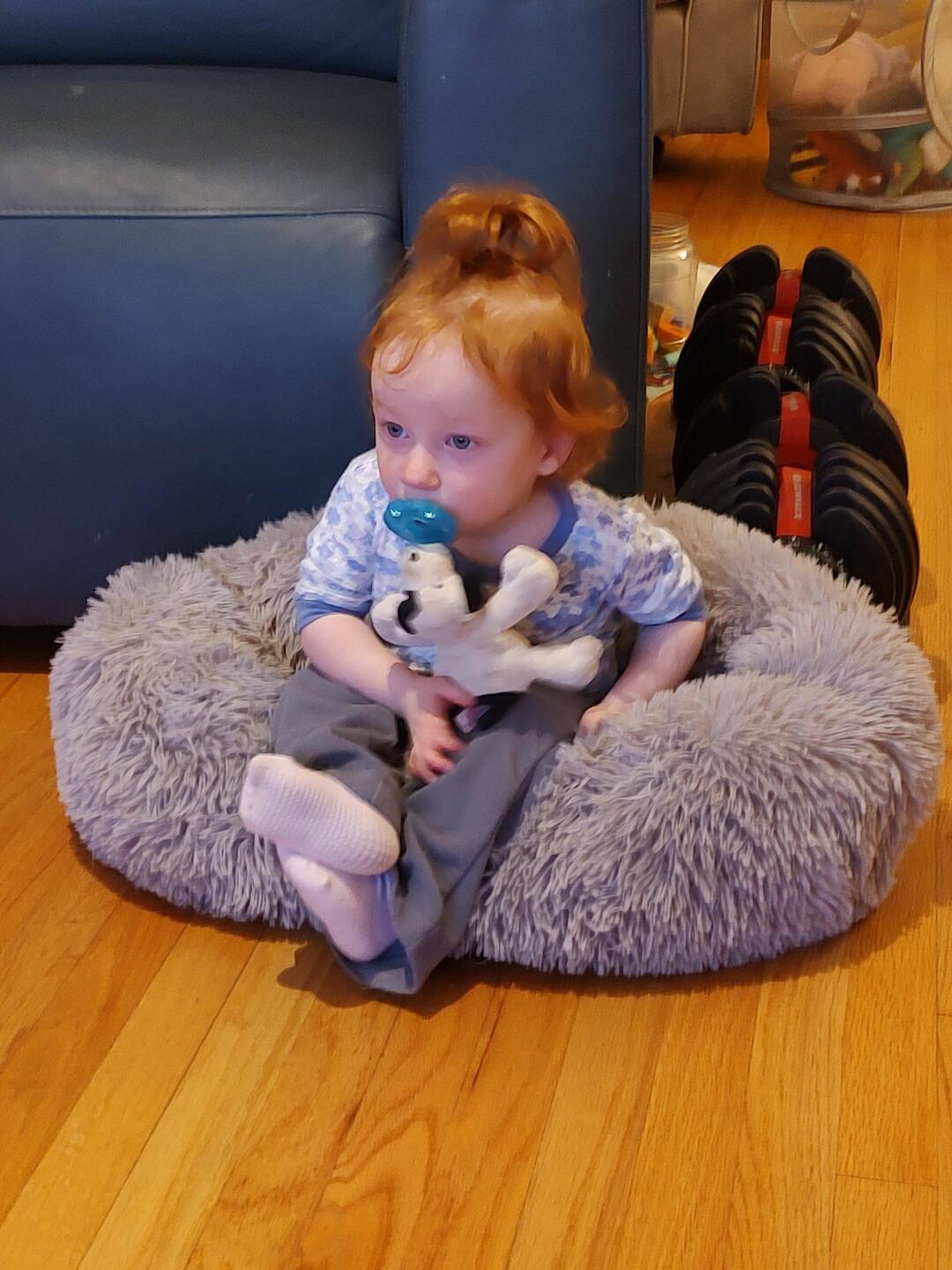 sitting in her dog bed watch Miss Rachel