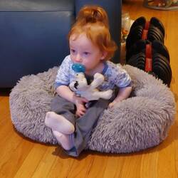 sitting in her dog bed watch Miss Rachel