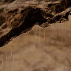 Bildquelle: www.realnz.com