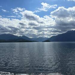 Bootsfahrt zu den Glowworm Caves