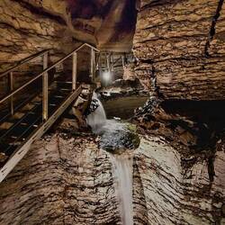 Bildquelle: www.realnz.com