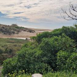 Ende Gelände. 🤷‍♀️