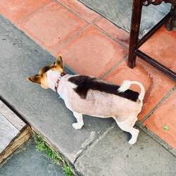 Der kleine Mann wusste wo es lang geht 🤣