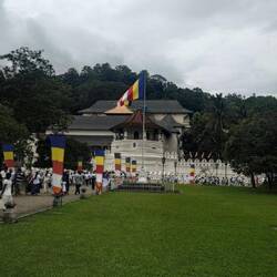 Eingang zum Zahntempel