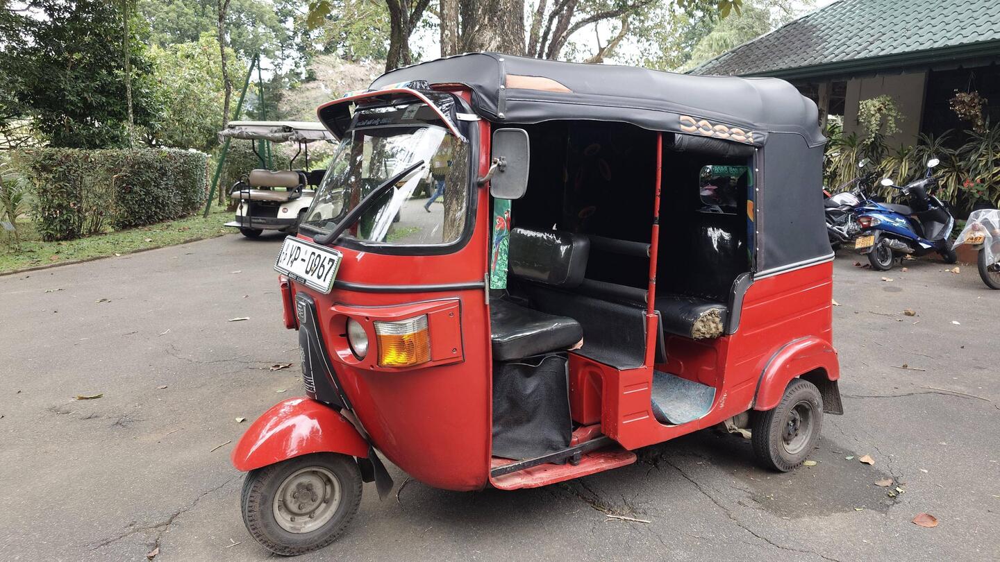 Auf mit dem Tuk Tuk zum Botanischen Garten