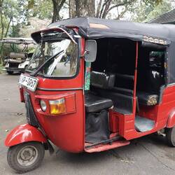 Auf mit dem Tuk Tuk zum Botanischen Garten