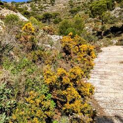 Ist hier bereits Frühling🤔