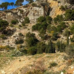 Ein alter Steinbruch