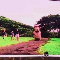 Eventuelle Transportmöglichkeit