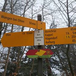 oben auf dem Born