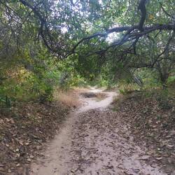 Ein kurzes Stück fahre ich Offroad, doch fast 10 km davon will ich meinem Fahrrad nicht zumuten