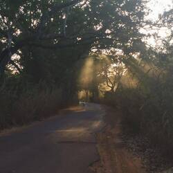 Da nehme ich lieber die halbwegs asphaltierte Straße