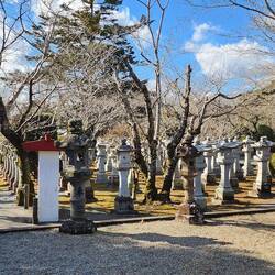 Rows of stone lanterns (tōrō)
