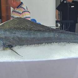 Part of the initiation involves kissing the fish. :)